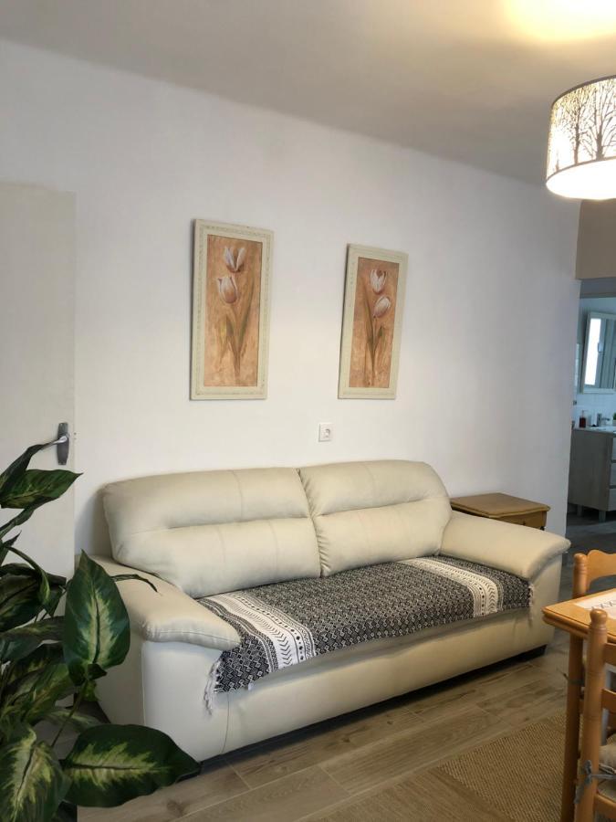Apartamento Elizondo Giltxaurdi Ngoại thất bức ảnh